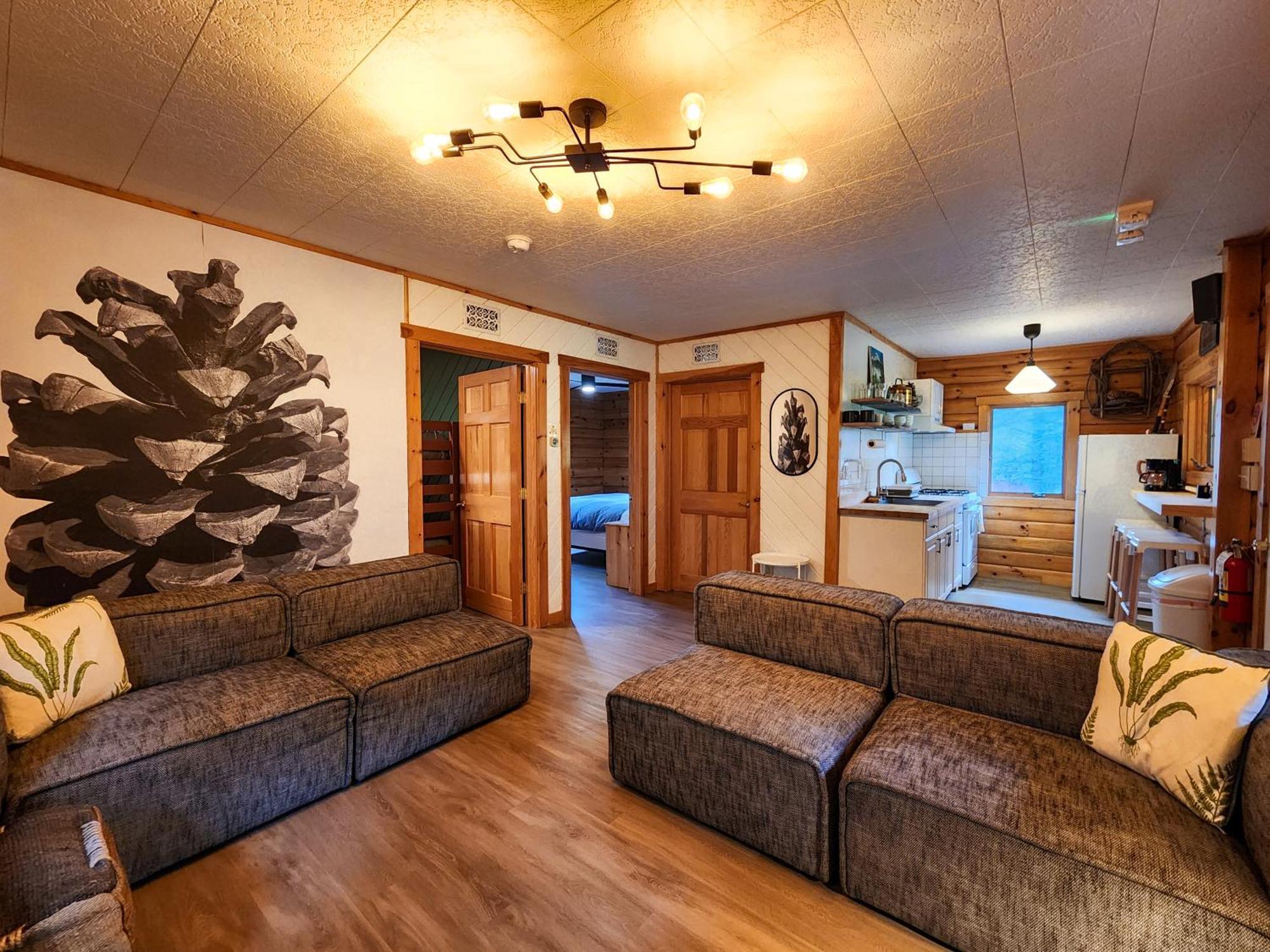Belleayre Lodge Pine Hill Værelse billede