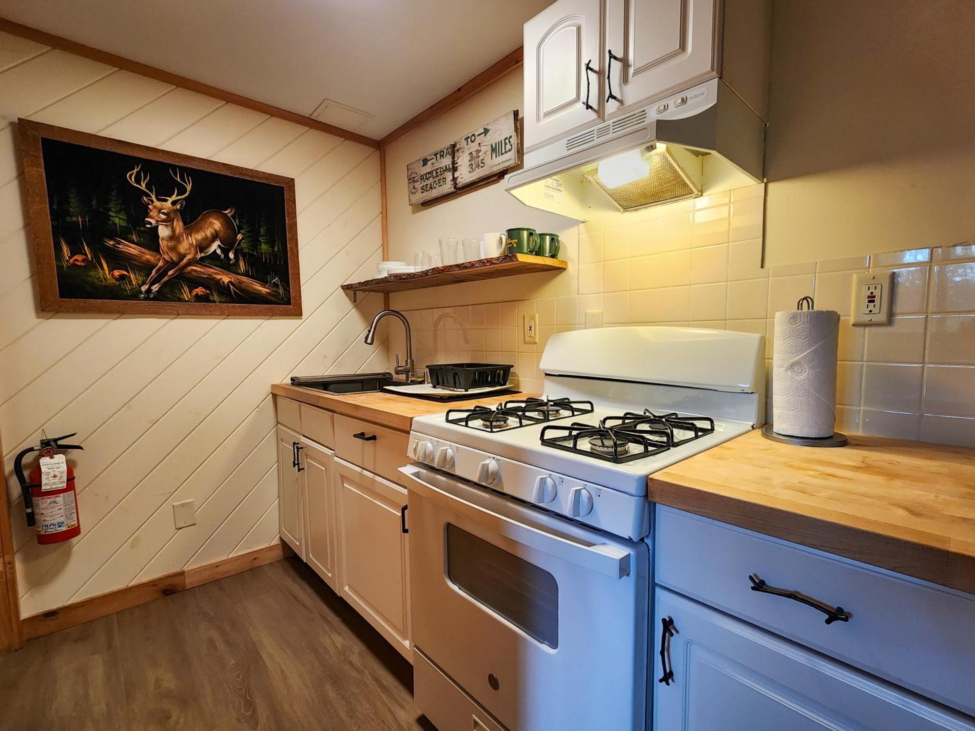 Belleayre Lodge Pine Hill Værelse billede